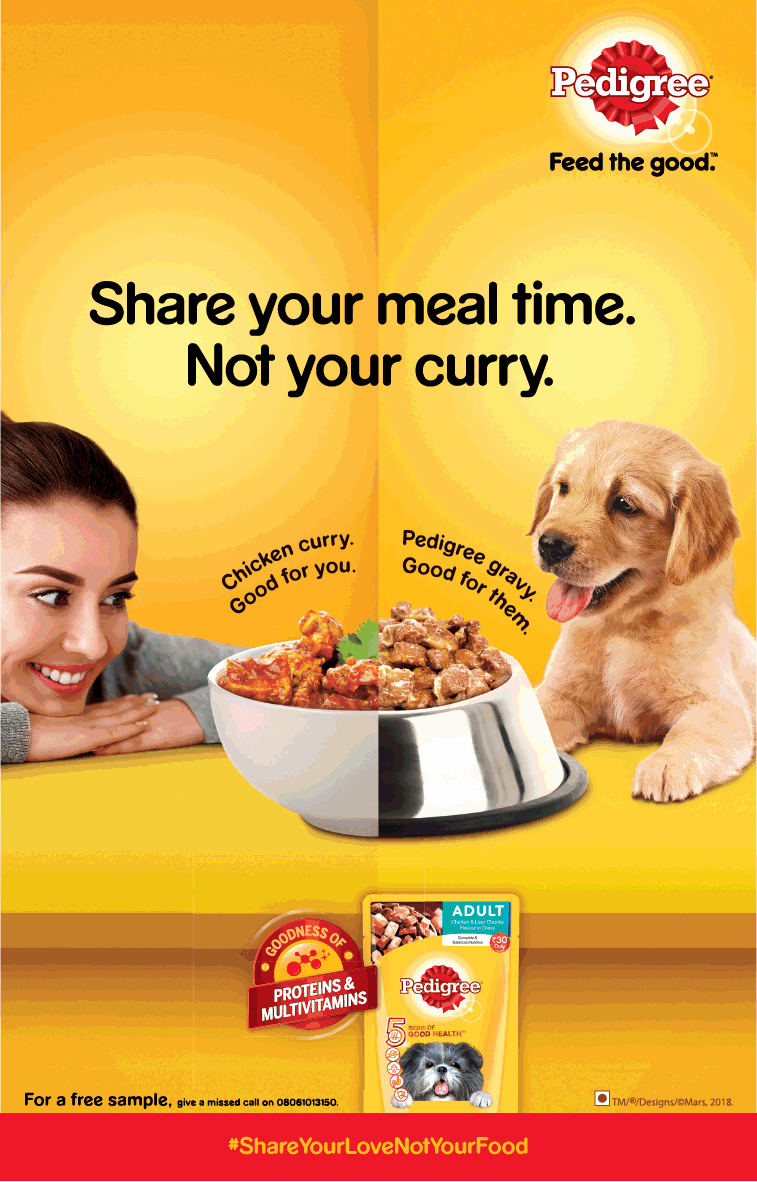 Pedigree Share Your Meal Time Not Your Curry Ad Advert